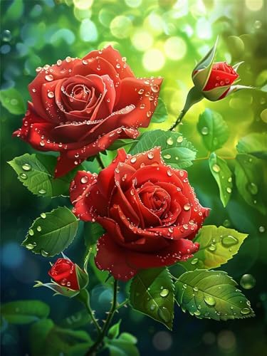 Diamond Painting Rote Rose xxl 60x80 cm, 5D Diamant Painting Bilder für Erwachsene und Anfänger, DIY Diamond Painting Set Blumen Full Drill Diamant Kunst Malerei Kits für Home Wand Décor -RD1289 von YIFEIYANYFY