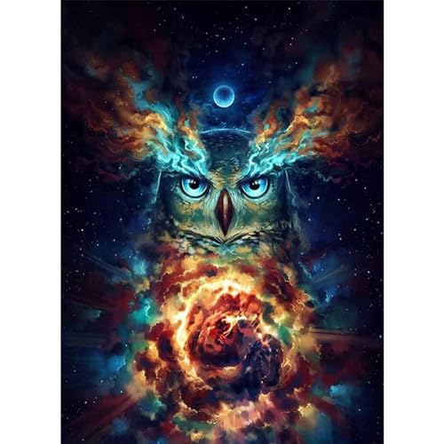 YIYUE 5D Diamond Painting Kits Bilder für Erwachsene, Eule DIY Diamant Malerei Painting Bilder Set, Diamond Art Full Runder Malen Nach Zahlen Erwachsene Set (35x45cm), Nr. 2 von YIYUE