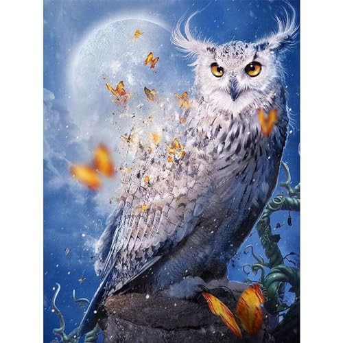 YIYUE 5D Diamond Painting Kits Bilder für Erwachsene, Eule DIY Diamant Malerei Painting Bilder Set, Diamond Art Full Runder Malen Nach Zahlen Erwachsene Set (35x45cm), Nr. 3 von YIYUE