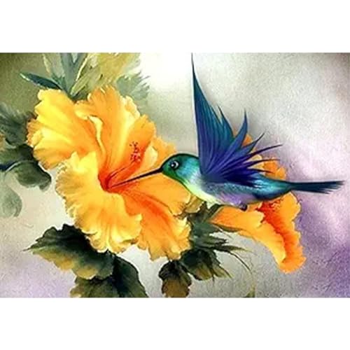 YIYUE 5D Diamond Painting Kits Bilder für Erwachsene, Kolibri DIY Diamant Malerei Painting Bilder Set, Diamond Art Full Runder Malen Nach Zahlen Erwachsene Set (35x45cm), Nr. 9 von YIYUE