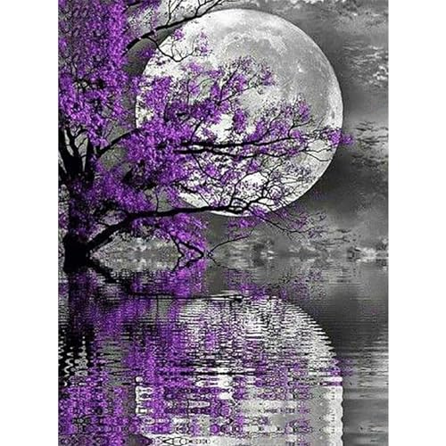 YIYUE 5D Diamond Painting Kits Bilder für Erwachsene, Landschaft DIY Diamant Malerei Painting Bilder Set, Diamond Art Full Runder Malen Nach Zahlen Erwachsene Set (35x45cm), Nr. 4 von YIYUE