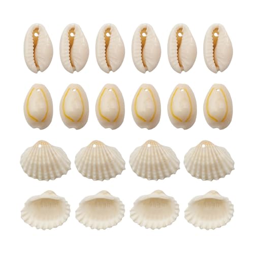 1 Set Cauri Muschelperlen natürliche Muschelperlen Strand Muscheln Muscheln mit Loch Schmuckherstellung Zubehör für Kunstprojekte 1 Set Cauri Muschelperlen natürliche Muschelperlen Strand Muscheln Muscheln mit Loch Schmuckherstellung Zubehör für Kunstprojekte von YIZITU
