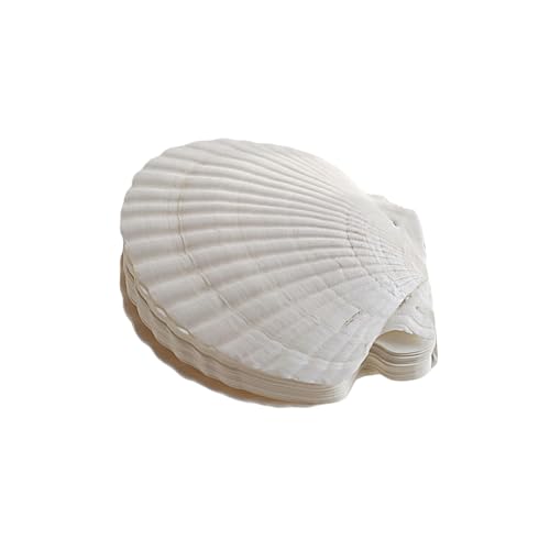 YIZITU Nachfüllbares Notizbuch, natürliche Muschelform, Ordner, Planer, Tagebuch, Notizblöcke für kreative Köpfe und Naturstile YIZITU Nachfüllbares Notizbuch, natürliche Muschelform, Ordner, Planer, Tagebuch, Notizblöcke für kreative Köpfe und Naturstile von YIZITU