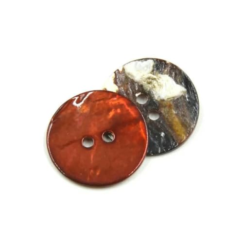 50 Stück bunte Muschelknöpfe, Druckknöpfe für Kleidung, dekorierte Knöpfe für Kunsthandwerk, Knöpfe für Babykleidung, Nähzubehör, Braun, 10 mm 50 Stück bunte Muschelknöpfe, Druckknöpfe für Kleidung, dekorierte Knöpfe für Kunsthandwerk, Knöpfe für Babykleidung, Nähzubehör, Braun, 10 mm von YJMYZ