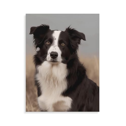 YJWANDO Digital Painting Kit, Border Collie Print DIY Painting Kit Erwachsene Malset Paint Kit mit Zahlen Paint Kit für Anfänger YJWANDO Digital Painting Kit, Border Collie Print DIY Painting Kit Erwachsene Malset Paint Kit mit Zahlen Paint Kit für Anfänger von YJWANDO