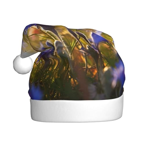 YKJJFVZ Weihnachtsmütze mit wilden Blumen und Kornblumen, Gänseblümchen, Weihnachtsmütze für Erwachsene, Uni, Weihnachtsmütze für Neujahrsparty YKJJFVZ Weihnachtsmütze mit wilden Blumen und Kornblumen, Gänseblümchen, Weihnachtsmütze für Erwachsene, Uni, Weihnachtsmütze für Neujahrsparty von YKJJFVZ