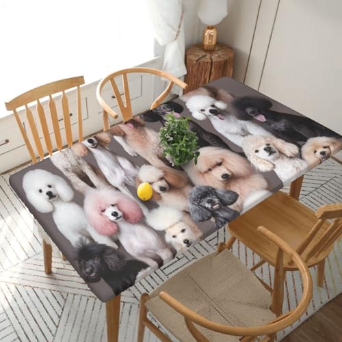 YKLJG Oodles of Poodles bedruckte Tischdecke, 152 cm, rechteckig, wasserdicht, waschbar, Tischdecken, Schutz für Esstische, 76 x 152 cm YKLJG Oodles of Poodles bedruckte Tischdecke, 152 cm, rechteckig, wasserdicht, waschbar, Tischdecken, Schutz für Esstische, 76 x 152 cm von YKLJG
