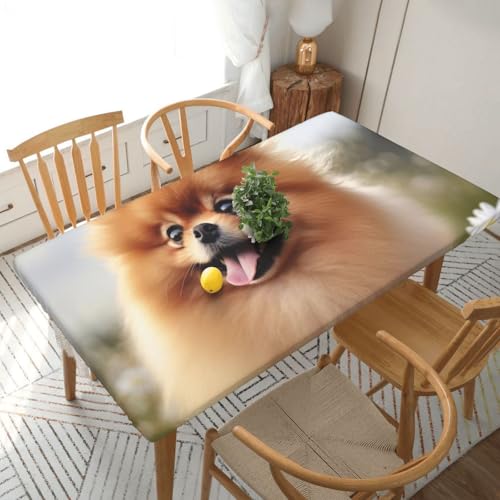 YKLJG Tischdecke mit Zwergspitz-Motiv, bedruckt, 152 cm, rechteckig, wasserdicht, waschbar, Tischdecken, Schutz für Esstische, 76 x 152 cm YKLJG Tischdecke mit Zwergspitz-Motiv, bedruckt, 152 cm, rechteckig, wasserdicht, waschbar, Tischdecken, Schutz für Esstische, 76 x 152 cm von YKLJG