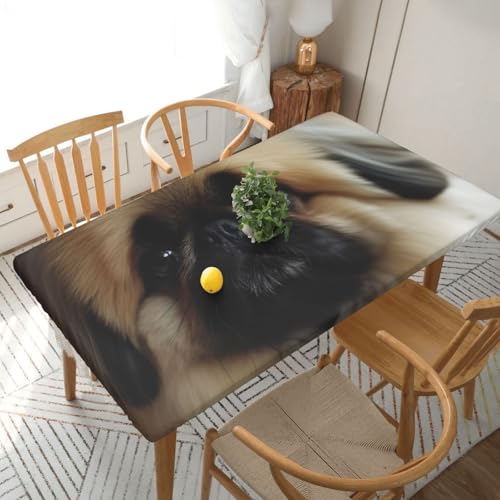 YKLJG Tischdecke mit süßem Pekinese-Motiv, 152 cm, rechteckig, wasserdicht, waschbar, Tischdecken, Schutz für Esstische, 76 x 152 cm YKLJG Tischdecke mit süßem Pekinese-Motiv, 152 cm, rechteckig, wasserdicht, waschbar, Tischdecken, Schutz für Esstische, 76 x 152 cm von YKLJG