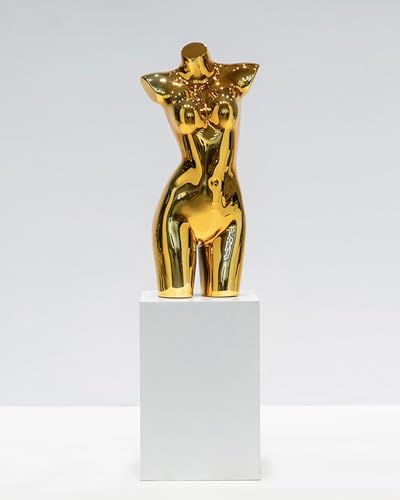 YKMYXZ, Einzelhandel Kleidung Kleid Form Spiegel Design, Dessous Bademode Display Dummy Modell Puppe Mit Metall Ständer(Gold,Without Stand) von YKMYXZ