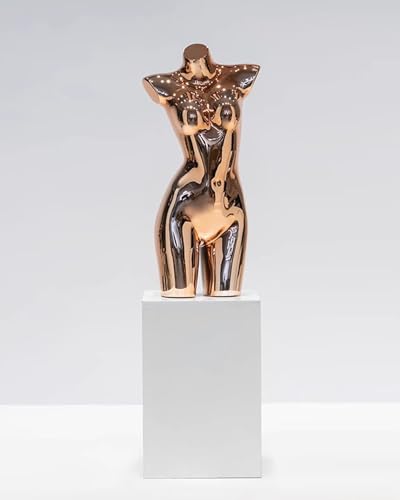 YKMYXZ, Einzelhandel Kleidung Kleid Form Spiegel Design, Dessous Bademode Display Dummy Modell Puppe Mit Metall Ständer(Rose Gold,Without Stand) von YKMYXZ