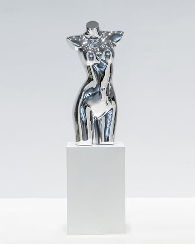 YKMYXZ, Einzelhandel Kleidung Kleid Form Spiegel Design, Dessous Bademode Display Dummy Modell Puppe Mit Metall Ständer(Silver,Without Stand) von YKMYXZ