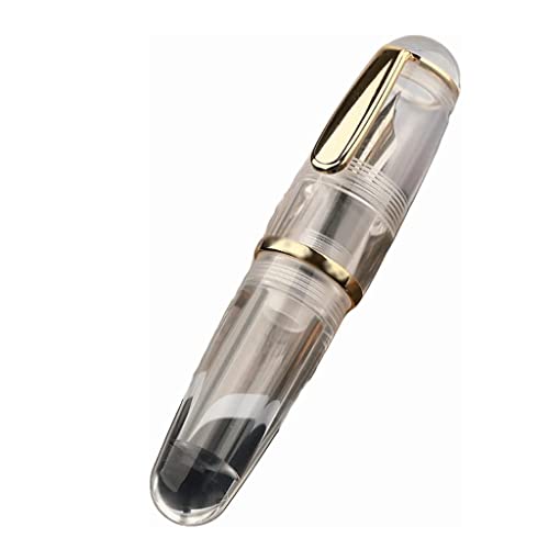 YLGTYUIK Füllfederhalter, hochwertige Acrylstifte, feine Feder, nachfüllbarer Füllfederhalter zum Schreiben, exquisiter Kalligrafiestift, Lackstift für Männer und Frauen, tragbar (fein 0,5 mm) von YLGTYUIK
