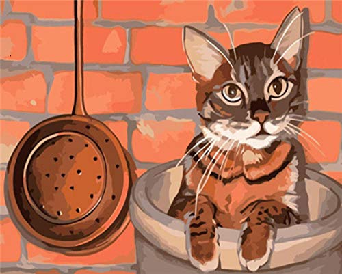 pzmolpq Malen nach Zahlen Katze Tier Kit Zeichnung auf Leinwand Wandkunst handbemalte DIY Zeichnung Leinwand Bild Geschenk Home Decoration-40x30cm Kein Rahmen pzmolpq Malen nach Zahlen Katze Tier Kit Zeichnung auf Leinwand Wandkunst handbemalte DIY Zeichnung Leinwand Bild Geschenk Home Decoration-40x30cm Kein Rahmen von YMXSDIMDS