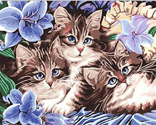pzmolpq Malen nach Zahlen Katze Tier Kit Zeichnung auf Leinwand Wandkunst handbemalte DIY Zeichnung Leinwand Bild Geschenk Home Decoration-75x60cm Kein Rahmen pzmolpq Malen nach Zahlen Katze Tier Kit Zeichnung auf Leinwand Wandkunst handbemalte DIY Zeichnung Leinwand Bild Geschenk Home Decoration-75x60cm Kein Rahmen von YMXSDIMDS