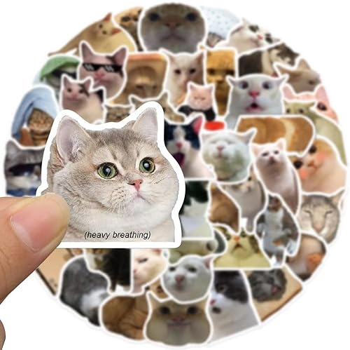 YNDJK Cute Sticker,100 Stück Meme Sticker,Katzensticker,Katzen Aufkleber,Cute Cat Stickers,Aesthetic Lustig Katze Merch,SüßE Lustige Katzenaufkleber Set,Funny Stuff FüR Cats,Süß Wasserflasche Stiker von YNDJK