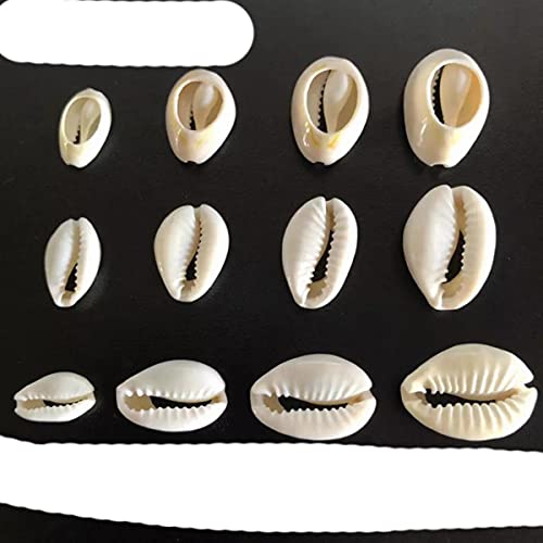 50Pcs White Sea Shell Perlen für Schmuckherstellung Charm Beads DIY Halskette Armband Zubehör Schmuckzubehör-Beige Weiß, 1,8-1,9 cm 50Pcs White Sea Shell Perlen für Schmuckherstellung Charm Beads DIY Halskette Armband Zubehör Schmuckzubehör-Beige Weiß, 1,8-1,9 cm von YOENYSDFLI