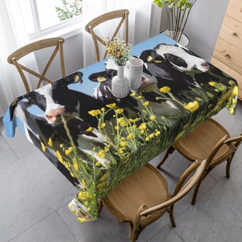 Tischdecke mit schwarz-weißen Kühen, rechteckig, 88,9 x 139,7 cm, wasserdicht, staubdicht Tischdecke mit schwarz-weißen Kühen, rechteckig, 88,9 x 139,7 cm, wasserdicht, staubdicht von YOFIEN