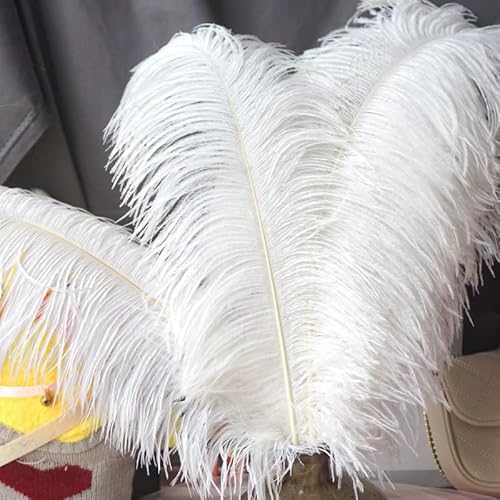 YOGAY 2 Stück 15–60 cm große Straußenfedern weiße Straußenfedern Federn Carnaval Tischdekoration Party Hochzeit Zubehör Dekoration YOGAY 2 Stück 15–60 cm große Straußenfedern weiße Straußenfedern Federn Carnaval Tischdekoration Party Hochzeit Zubehör Dekoration von YOGAY