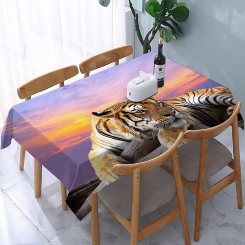 YOIUE Tischdecke Abwaschbar Rechteckig,137x183cm,Polyester Tischtuch Tafeldecke Ornamente Schmutzabweisend Pflegeleicht,Tiger sucht etwas auf dem Felsen mit wunderschönem Himmel bei Sonnenuntergang von YOIUE