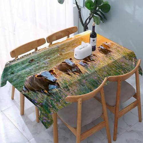 YOIUE Tischdecke Abwaschbar Rechteckig,137x183cm,Polyester Tischtuch Tafeldecke Ornamente Schmutzabweisend Pflegeleicht,Vieh Kuh Nebraska Hereford Rinder Sonnenuntergang Natur Landschaft Parks Bauern von YOIUE