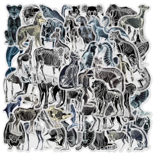 Röntgen-Skelett-Aufkleber mit Tiermotiven – transparente Tier-Anatomie-Aufkleber für Scrapbooking, Journaling, pädagogische Dekoration, Laptops, Wasserflaschen, Wissenschaftsbegeisterte, 50 Stück von YOKSAS