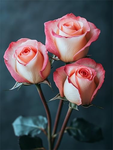 Blume Diamond Painting Erwachsene, 5D Diamant Painting Rose Bilder Kinder, DIY Vollbohrer Diamanten Malerei Stickerei Kreuzstich Basteln Mädchen 10 Jahre Geschenke Home Wand Dekor 10x15 cm K-102 Blume Diamond Painting Erwachsene, 5D Diamant Painting Rose Bilder Kinder, DIY Vollbohrer Diamanten Malerei Stickerei Kreuzstich Basteln Mädchen 10 Jahre Geschenke Home Wand Dekor 10x15 cm K-102 von YOOYLLCY