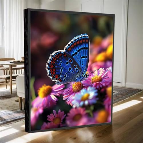 Diamond Painting Erwachsene, Diamant Painting Bilder Blume Diamant Kunst Bilder Kinder Anfänger, 5D DIY Schmetterling Diamanten Malerei Stickerei Kreuzstich Geschenke Home Wand Dekor 70x50cm M-696 Diamond Painting Erwachsene, Diamant Painting Bilder Blume Diamant Kunst Bilder Kinder Anfänger, 5D DIY Schmetterling Diamanten Malerei Stickerei Kreuzstich Geschenke Home Wand Dekor 70x50cm M-696 von YOOYLLCY