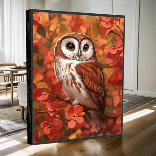 Diamond Painting Erwachsene, Diamant Painting Bilder Tier Diamant Kunst Bilder Kinder Anfänger, 5D DIY Eule Vollbohrer Diamanten Malerei Stickerei Kreuzstich Geschenke Home Wand Dekor 70x50cm M-603 von YOOYLLCY