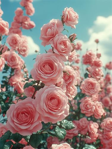 Diamond Painting Erwachsene Rosa Diamant Painting Bilder Rose 50x70 cm Diamanten Malerei Stickerei Bastelset Kinder Zubehör, für Wand Dekoration, Weihnachtsgeschen 8-10 Jahre Mädchen und Frauen K-8877 von YOOYLLCY