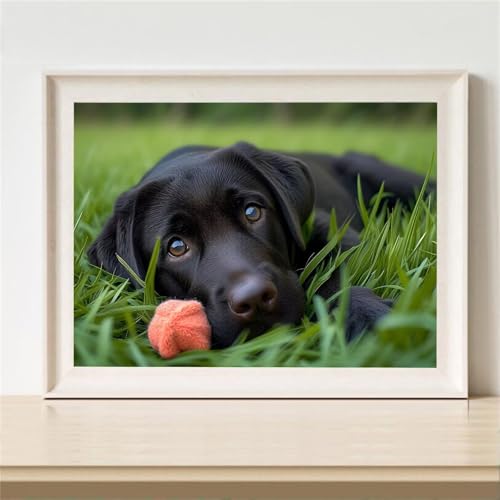 Diamond Painting Tier Diamant Painting Bilder Kinder Hund Diamant Malerei Set, DIY Mosaikherstellung Bastelset Erwachsene, 5D Diamantmalerei Bilder Arts als Geschenk für Home Wand Décor 100x70cm M-583 von YOOYLLCY