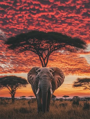Sonnenuntergang Diamond Painting Erwachsene, 5D Diamant Painting Elefant Bilder Kinder, DIY Vollbohrer Diamanten Malerei Stickerei Kreuzstich Basteln 10 Jahre Geschenke Home Wand Dekor 10x15 cm K-612 Sonnenuntergang Diamond Painting Erwachsene, 5D Diamant Painting Elefant Bilder Kinder, DIY Vollbohrer Diamanten Malerei Stickerei Kreuzstich Basteln 10 Jahre Geschenke Home Wand Dekor 10x15 cm K-612 von YOOYLLCY