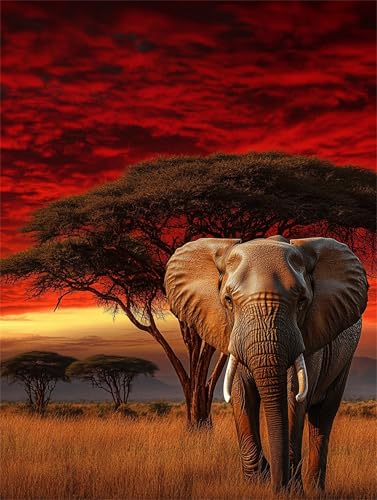 Tier Diamond Painting Erwachsene, 5D Diamant Painting Elefant Bilder Kinder, DIY Vollbohrer Diamanten Malerei Stickerei Kreuzstich Basteln Mädchen 10 Jahre Geschenke Home Wand Dekor 60x80 cm K-338 Tier Diamond Painting Erwachsene, 5D Diamant Painting Elefant Bilder Kinder, DIY Vollbohrer Diamanten Malerei Stickerei Kreuzstich Basteln Mädchen 10 Jahre Geschenke Home Wand Dekor 60x80 cm K-338 von YOOYLLCY