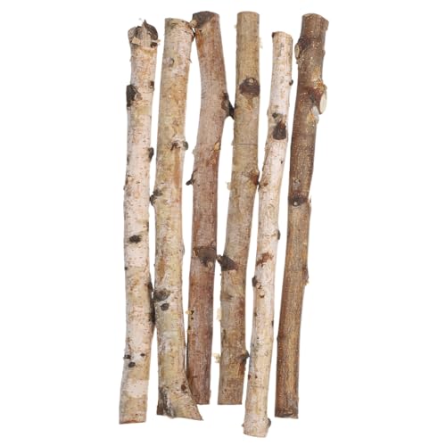YOSADIER 6 Stück Teiliges Natürliche Birkenholzstäbe Dünne Trockene Holzstäbe für DIY Bastelmaterial Blumenarrangements und Dekorative Handwerksprojekte Vielseitig und Langlebig von YOSADIER