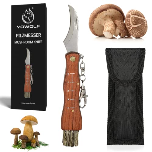 YOWOLF Pilzmesser mit Bürste und Lineal Klappmesser Premium Champignon Taschenmesser aus Rostfreiem Edelstahl Hochwertiges Trüffel Taschenmesser mit Schlüsselring Schwammerlmesser Messer mit Tasche von YOWOLF