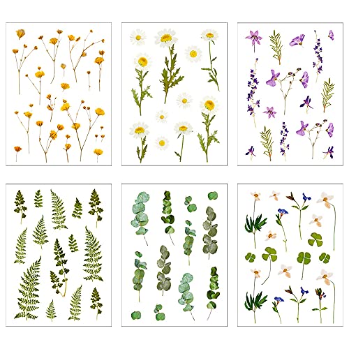 YPLonon Scrapbooking Aufkleber 6 Blätter Blumen Pflanzen Aufkleber Selbstklebend PET Transparente Dekorative Aufkleber Scrapbooking Stickers für Tagebuch Notizbuch Fotoalbum Sammelalbum DIY Dekoration YPLonon Scrapbooking Aufkleber 6 Blätter Blumen Pflanzen Aufkleber Selbstklebend PET Transparente Dekorative Aufkleber Scrapbooking Stickers für Tagebuch Notizbuch Fotoalbum Sammelalbum DIY Dekoration von YPLonon