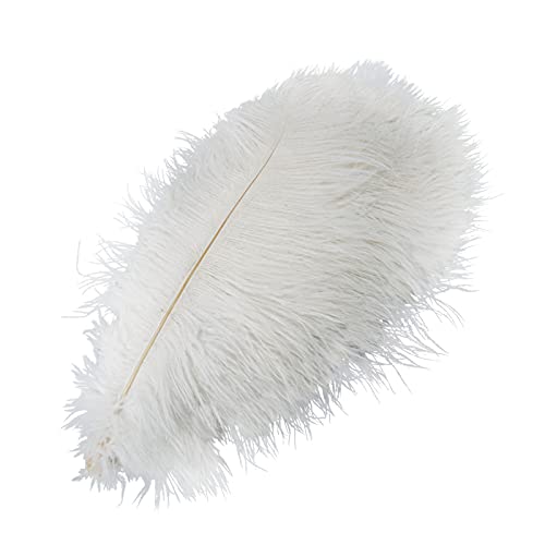YQYAZL 20 Stück weiße Federn, natürliche Straußenfedern, Dekoration, Basteln, Großpackung, geeignet für Kleidung, Zuhause, Hochzeit, Nähen, Basteln, Party-Dekor/45–50 cm YQYAZL 20 Stück weiße Federn, natürliche Straußenfedern, Dekoration, Basteln, Großpackung, geeignet für Kleidung, Zuhause, Hochzeit, Nähen, Basteln, Party-Dekor/45–50 cm von YQYAZL