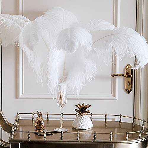 YQYAZL 20 weiße Federn, natürliche Straußenfedern, Dekoration, Basteln, Großpackung, geeignet für Kleidung, Zuhause, Hochzeit, Nähen, Basteln, Party-Dekor, 40-45 cm YQYAZL 20 weiße Federn, natürliche Straußenfedern, Dekoration, Basteln, Großpackung, geeignet für Kleidung, Zuhause, Hochzeit, Nähen, Basteln, Party-Dekor, 40-45 cm von YQYAZL