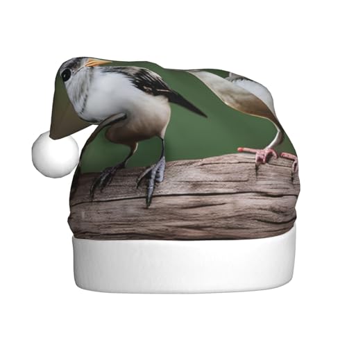 YQxwJL Weihnachtsmützen mit drei Vögeln, Plüsch-Weihnachtsmannmützen für Weihnachten, Urlaub, Partyzubehör YQxwJL Weihnachtsmützen mit drei Vögeln, Plüsch-Weihnachtsmannmützen für Weihnachten, Urlaub, Partyzubehör von YQxwJL