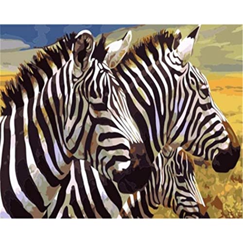 YSCOLOR Diy Malen Nach Zahlen Für Erwachsene Tier Zebra Ölgemälde Kit Für Kinder Anfänger 40X50cm von YSCOLOR