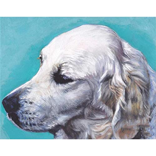 Malen Nach Zahlen Für Erwachsene Kinder Golden Retriever Haustier Hund Tier Diy Digitales Malen Nach Zahlen Kits Auf Leinwand 40X50cm Malen Nach Zahlen Für Erwachsene Kinder Golden Retriever Haustier Hund Tier Diy Digitales Malen Nach Zahlen Kits Auf Leinwand 40X50cm von YSCOLOR