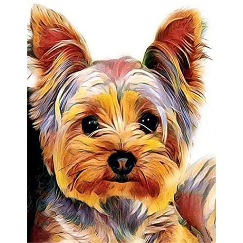 YSCOLOR Malen Nach Zahlen Für Erwachsene Kinder Yorkshire Terrier Hund Tier Diy Ölgemälde Digitales Malen Nach Zahlen Kits Auf Leinwand Dekoration Geschenk 40X50cm von YSCOLOR