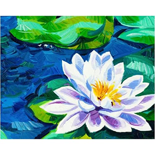 Malen Nach Zahlen Lotusblumen Malen Nach Zahlen Für Erwachsene Kinder Diy Digitale Malerei Für Anfänger Wanddekor Zeichnung Geschenk 40X50cm von YSCOLOR