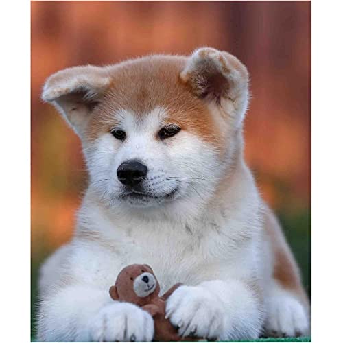 YSCOLOR Diamant Painting 5D Diamant Malerei Akita Inu Hund Diy Runde Strasssteine Diamanten Erwachsene Nach Zahlen Malerei Art Kit Craft Home Decor 30x40cm YSCOLOR Diamant Painting 5D Diamant Malerei Akita Inu Hund Diy Runde Strasssteine Diamanten Erwachsene Nach Zahlen Malerei Art Kit Craft Home Decor 30x40cm von YSCOLOR
