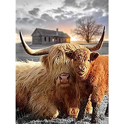 YSCOLOR Diamant Painting 5D Diamant Malerei Kits Animal Highland Cattle With Baby Cow Full Drill Round Beads Diamond Art Gems Stone Diy Kits Wanddekoration 30x40cm von YSCOLOR