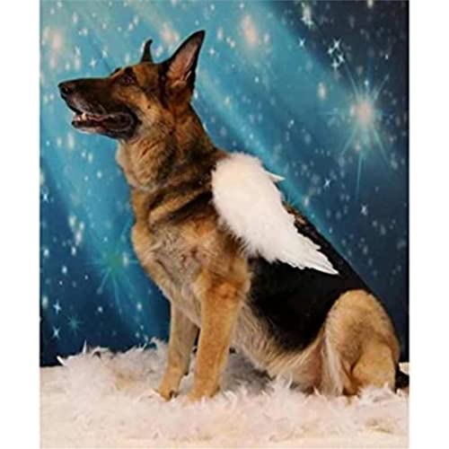 YSCOLOR Diamant Painting 5D Diamant Malerei Kits Deutscher Schäferhund Diy Full Drill Strass Stickerei Bilder Diamond Art Kits Für Erwachsene Geschenk Z1868 30x40cm von YSCOLOR