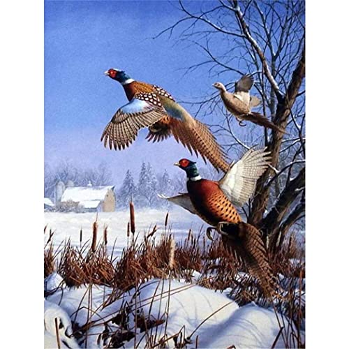 YSCOLOR Diamant Painting 5D Diamant Malerei Kits Fasane Huhn Full Drill Round Beads Diamond Art Kits Wanddekoration 30x40cm von YSCOLOR