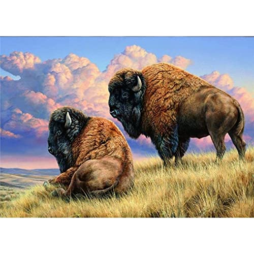 YSCOLOR Diamant Painting 5D Diamant Malerei Kits Für Erwachsene Und Kinder Animal Bison Buffalo Full Drill Round Diamond Art 30x40cm von YSCOLOR