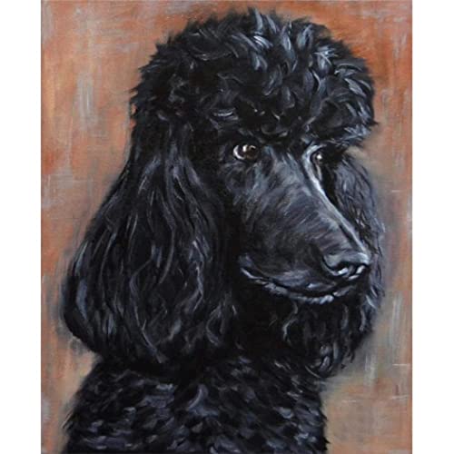YSCOLOR Diamant Painting 5D Diamant Malerei Kits Für Erwachsene Und Kinder Cute Black Pudel Full Drill Round Diamond Art 30x40cm von YSCOLOR