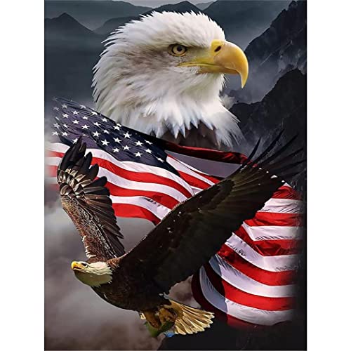 YSCOLOR Diamant Painting 5D Diamant Malerei Kits Für Erwachsene Weißkopfseeadler Amerikanische Flagge Full Drill Strass Diamond Art Painting Tiere 30x40cm von YSCOLOR